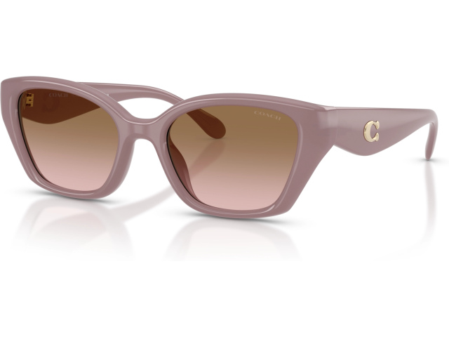 Coach CBY91 HC8434U 549511 Brown