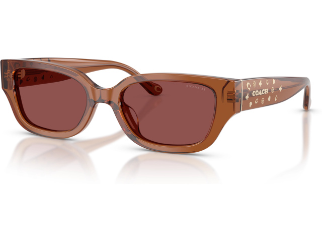 Coach CBZ52 HC8439U 581175 Brown