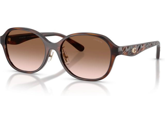 Coach CBY85 HC8445D 512013 Tortoise