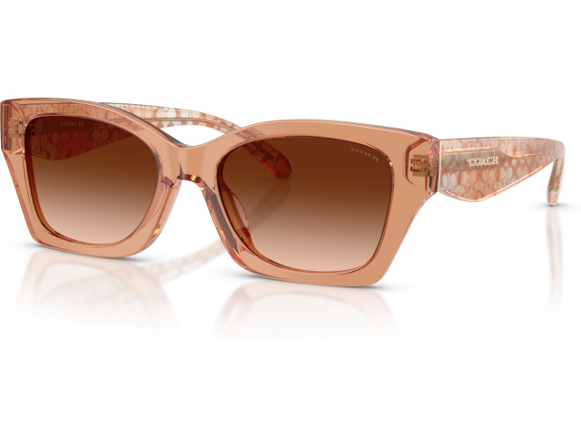 Coach CDP49 HC8451U 593774 Brown