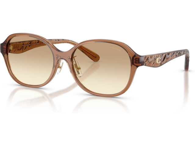 Coach CBY85 HC8445D 565413 Brown