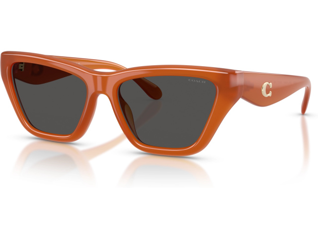 Coach CDP33 HC8449U 593087 Orange
