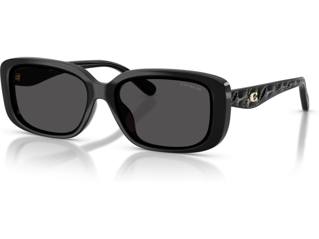 Coach CBY86 HC8444D 500287 Black