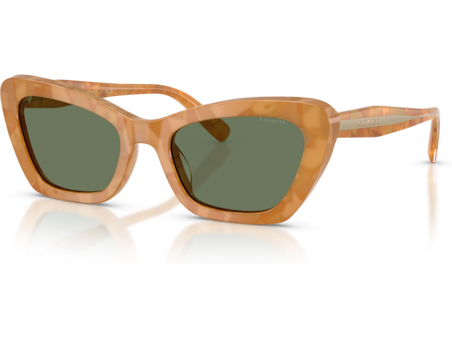 Coach CDP52 HC8452U 593982 Tortoise