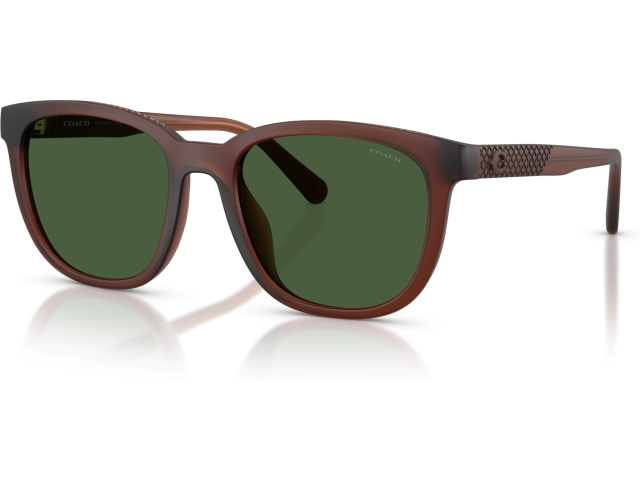 Coach CCA00 HC8442U 591171 Brown
