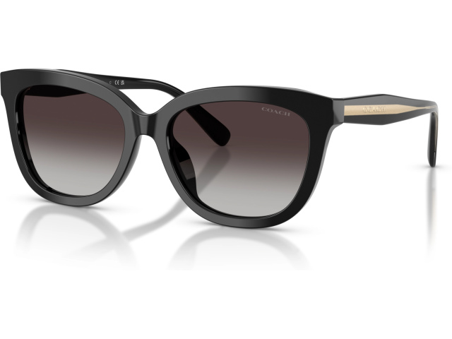 Coach CDP53 HC8453U 50028G Black