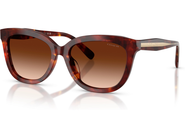 Coach CDP53 HC8453U 593874 Tortoise