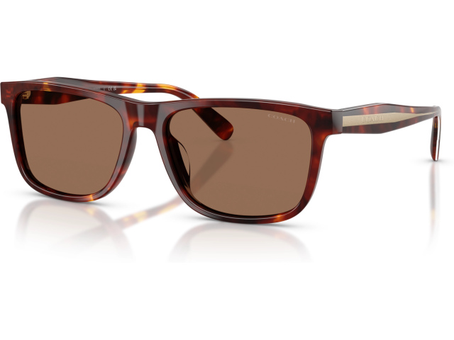 Coach CDP55 HC8454U 593813 Tortoise