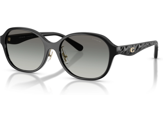Coach CBY85 HC8445D 500211 Black