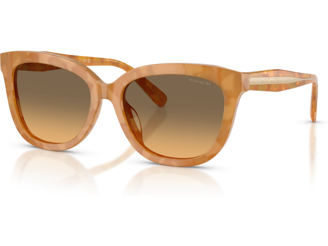 Coach CDP53 HC8453U 593911 Tortoise