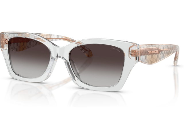 Coach CDP49 HC8451U 59358G Grey