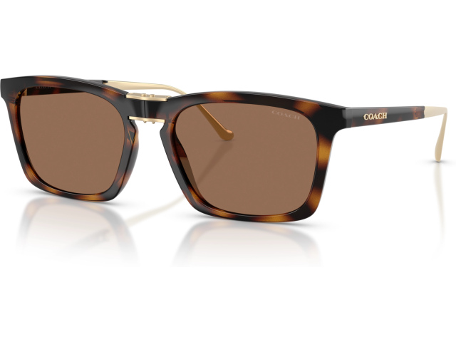 Coach CDP54 HC8455 512013 Tortoise
