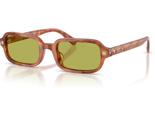 Coach CFU11 HC8465U 5774/2 Tortoise