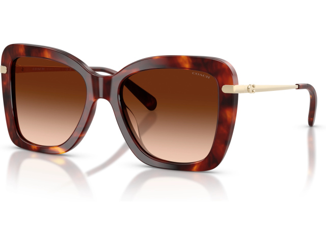 Coach CFU03 HC8461U 593874 Tortoise
