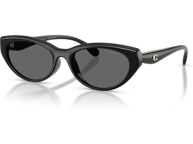 Coach CDP42 HC8456D 500281 Black