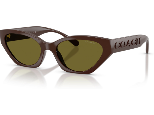 Coach CFT83 HC8459U 5957/2 Brown