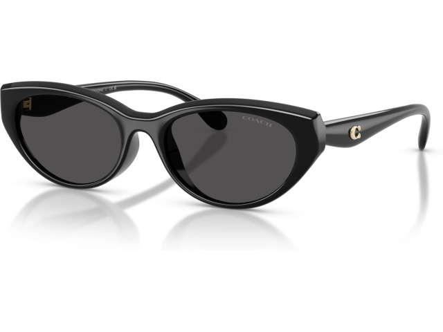 Coach CDP42 HC8456D 500287 Black