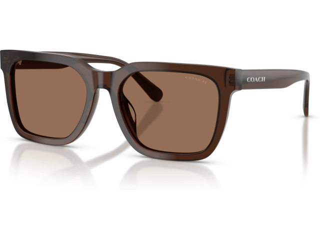 Coach CFU12 HC8466U 597373 Brown