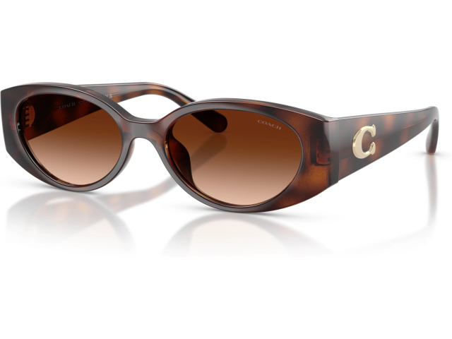 Coach CFU06 HC8462U 512074 Tortoise