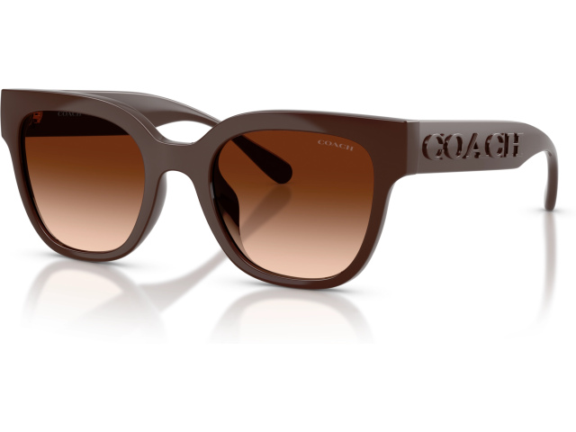 Coach CFT88 HC8460U 595774 Brown