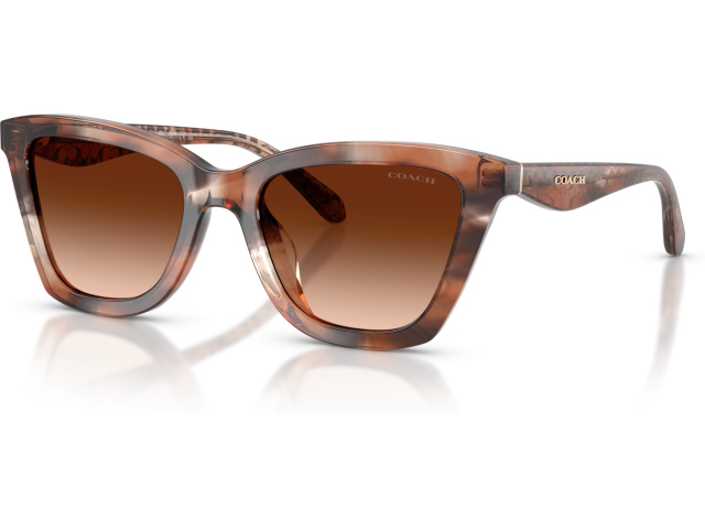 Coach CFU10 HC8464U 596574 Brown