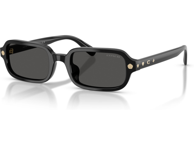 Coach CFU11 HC8465U 500287 Black