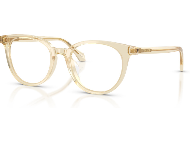 Versace VE3404D 5556 Brown