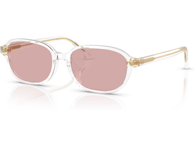 Versace VE4514D 148/84 Transparent
