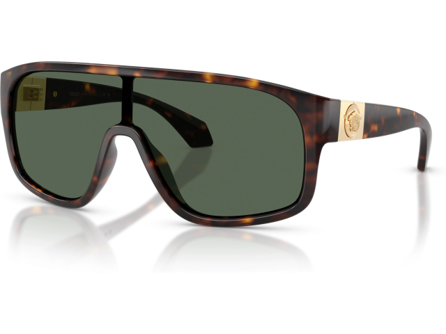 Versace VE4526U 108/71 Brown