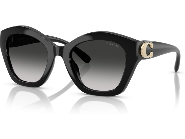 Coach CAD31 HC8421U 50023C Black