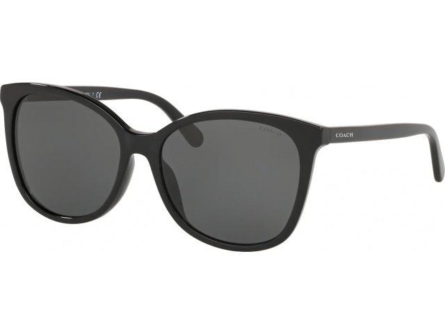 Coach L1101 HC8271U 500287 Black