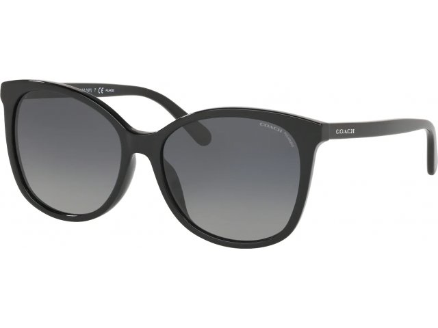 Coach L1101 HC8271U 5002T3 Black