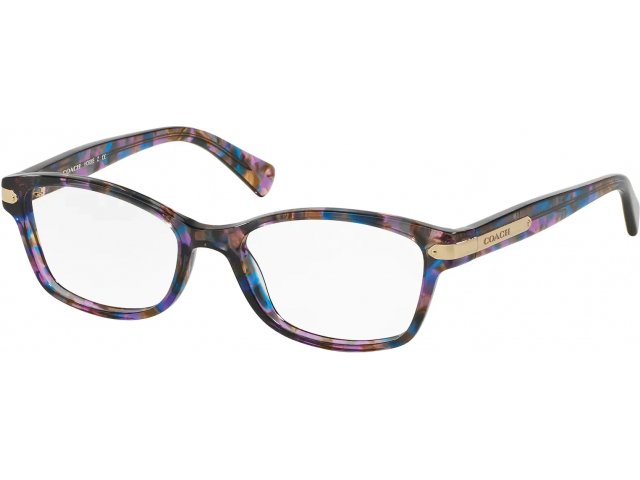 Coach HC6065 5288 Purple Confetti Tortoise
