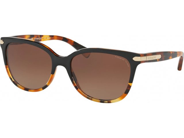 Coach L109 HC8132 5438T5 Black Tortoise Gradient