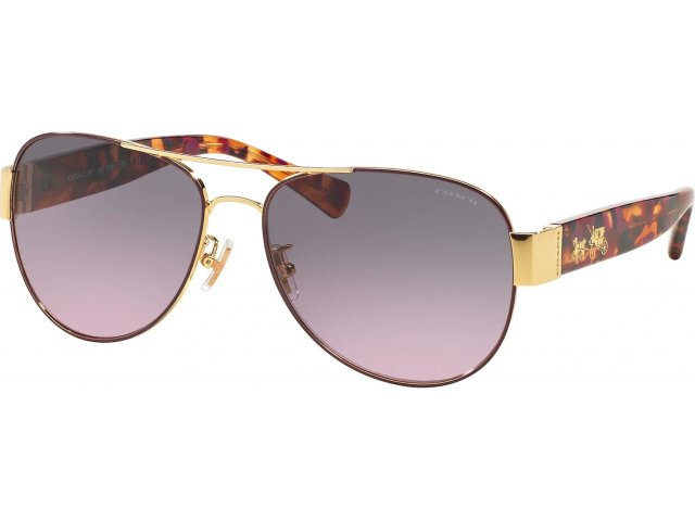 Coach L138 HC7059 924890 Purple / Gold