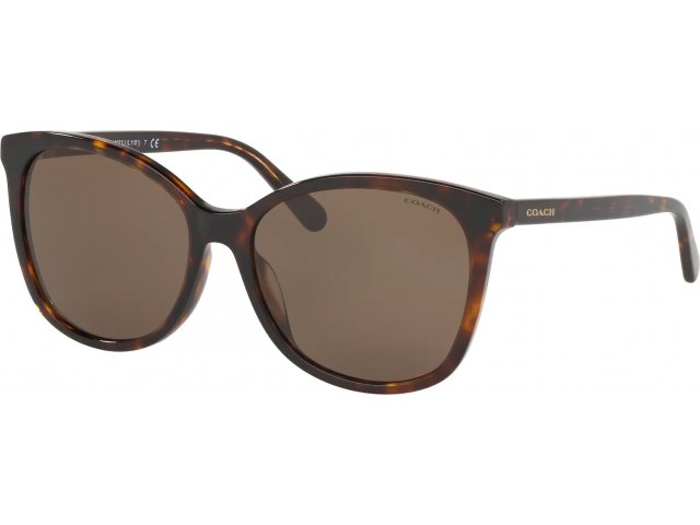 Coach L1101 HC8271U 512073 Dark Tortoise