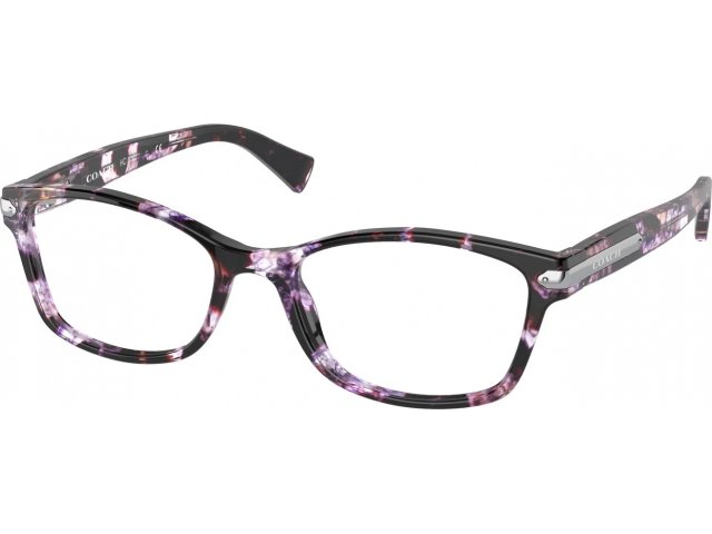 Coach HC6065 5548 Purple Tortoise