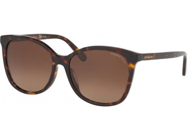 Coach L1101 HC8271U 5120T5 Dark Tortoise