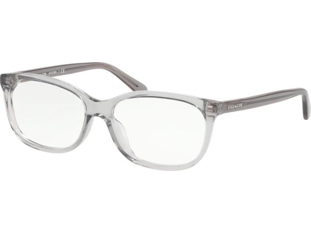 Coach HC6139U 5176 Transparent Grey