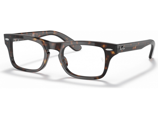 Ray-Ban Burbank Jr RY9083V 3887 Havana