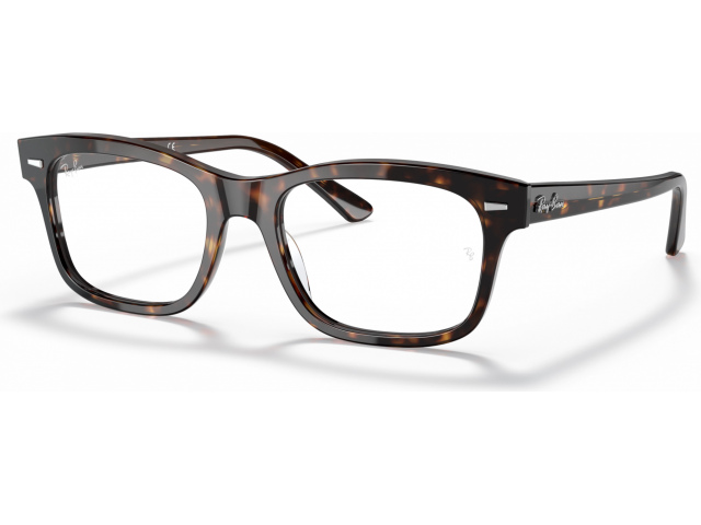 Ray-Ban Mr Burbank RX5383 2012 Havana