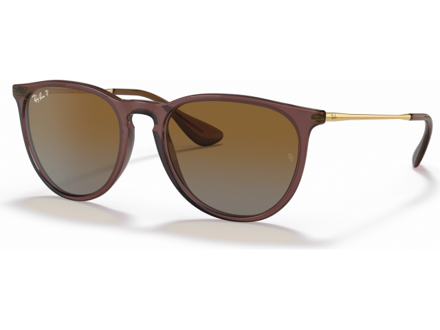 Ray-Ban Erika RB4171 6593T5 Transparent Dark Brown