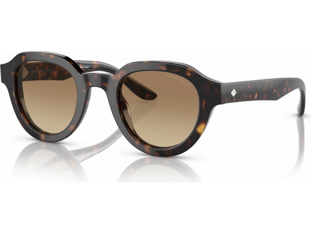 Giorgio Armani AR8172U 5879Q4 Havana