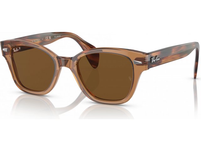 Ray-Ban RB0880S 664057 Transparent Brown