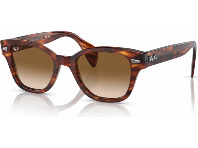 Ray-Ban RB0880S 954/51 Striped Havana