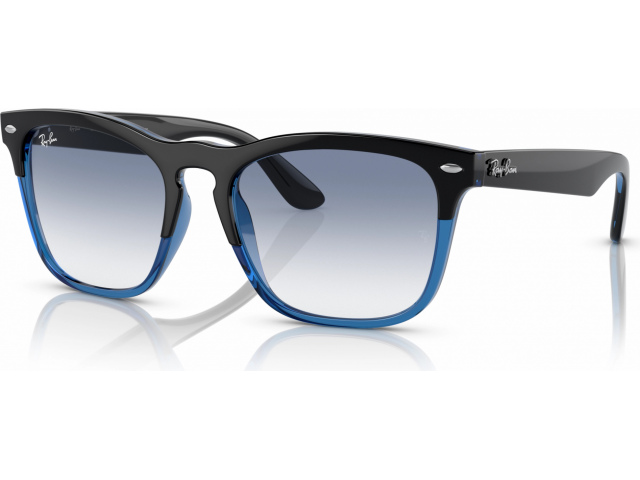 Ray-Ban Steve RB4487 663219 Black On Transparent Blue