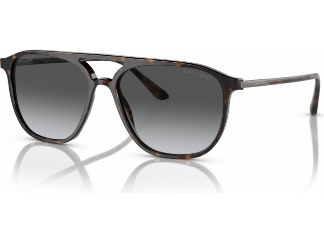 Giorgio Armani AR8179 5026T3 Tortoise