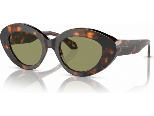 Giorgio Armani AR8188 599314 Tortoise