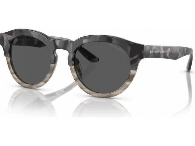 Giorgio Armani AR8189U 600987 Grey