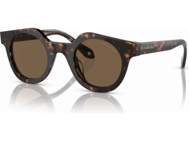 Giorgio Armani AR8191U 587973 Tortoise